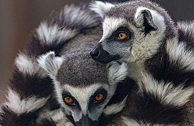 《终极闪光：破坏者》厂商很焦虑：发行商换3次了