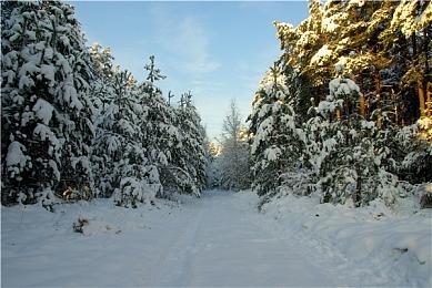 外媒分析《星空》PC版：单纯就是喜欢AMD显卡架构